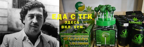гашик Майский
