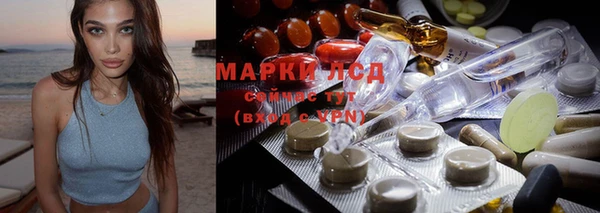 гашик Майский