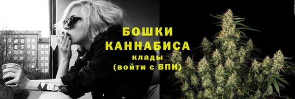 гашик Майский
