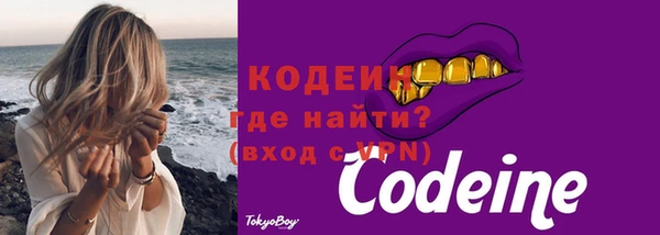 гашик Майский