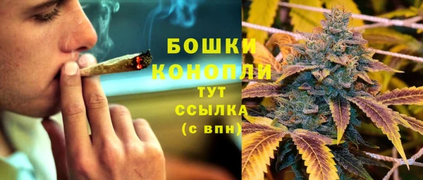 гидра Горнозаводск