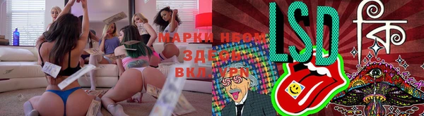 гашик Майский