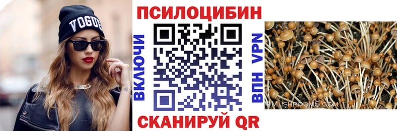 Галлюциногенные грибы GOLDEN TEACHER  где купить наркоту  Дорогобуж 